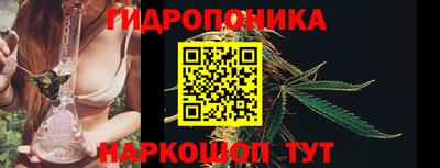 ПСИЛОЦИБИНОВЫЕ ГРИБЫ Нальчик