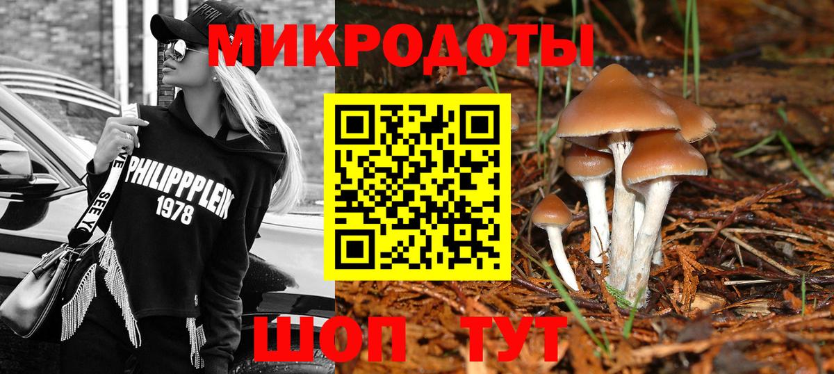 Галлюциногенные грибы Psilocybe Шатура