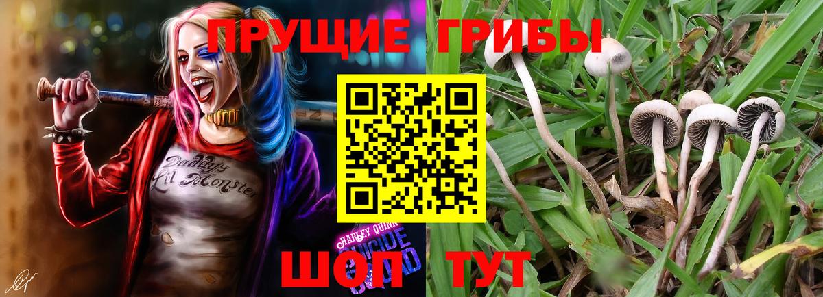 Галлюциногенные грибы Magic Shrooms  Вход с VPN  Галлюциногенные грибы ЛСД  Шатура 